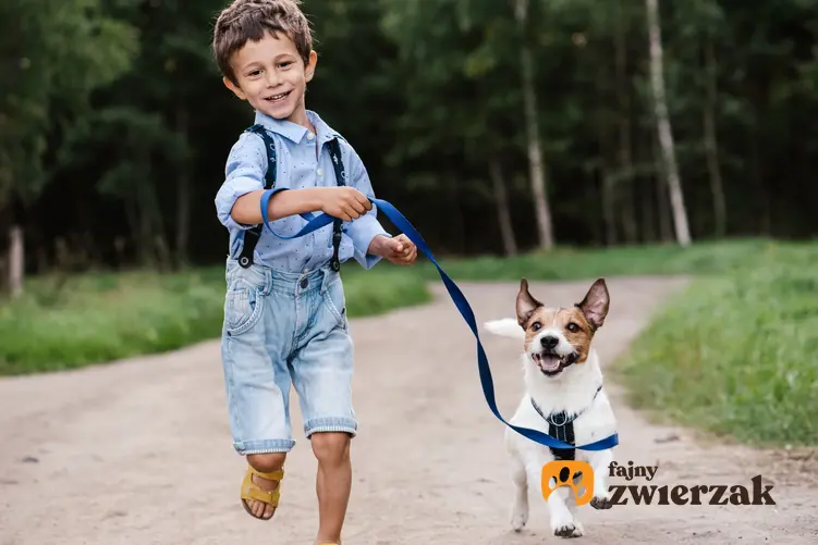 Pies z chłopcem na spacerze oraz jak założyć szelki dla psa szczenięciu i nie tylko