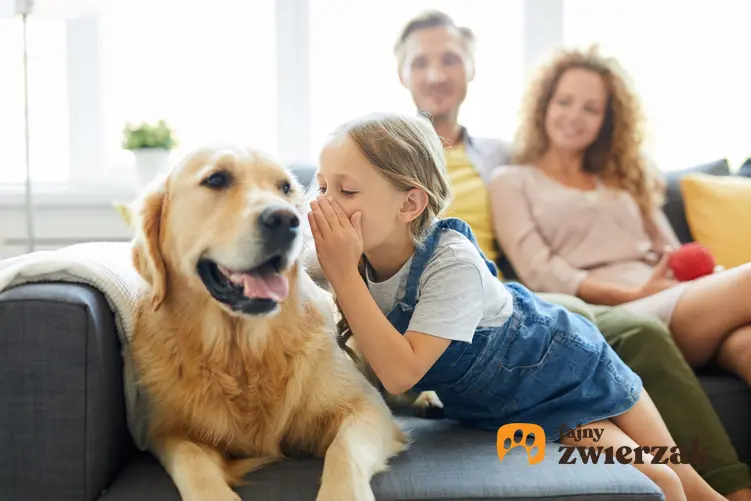 Dziewczyna z psem i rodzcami w tle, a także wskazówki, jak namówić rodziców na psa