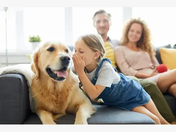 Ilustracja artykułu jak namówić rodziców na psa? 8 najlepszych argumentów