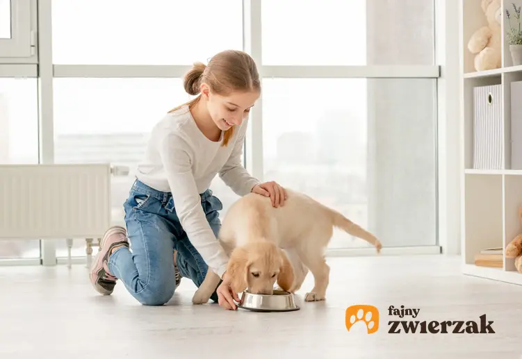 Dziewczynka i szczeniak podczas karmienia, a także porady do jakiego wieku rośnie pies