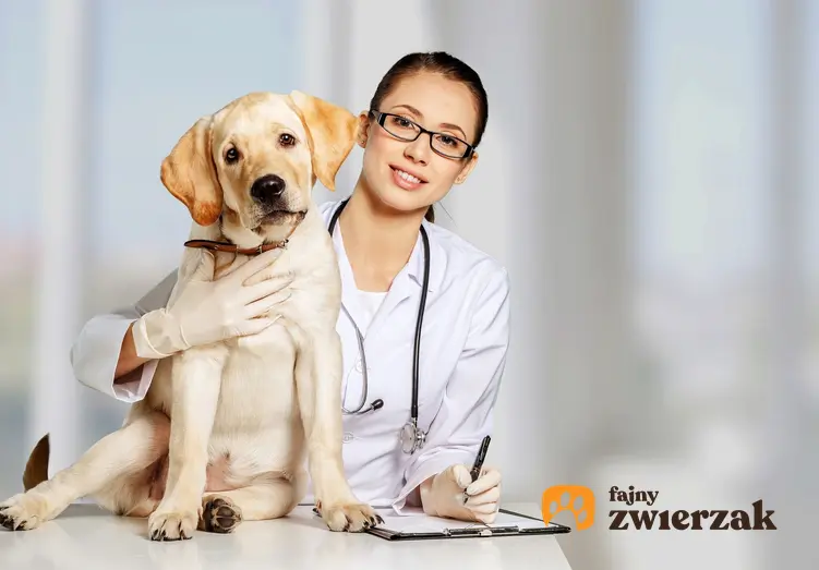 Pies z uśmiechniętą panią weterynarz, a także sterylizacja psa i cena kastracji psa