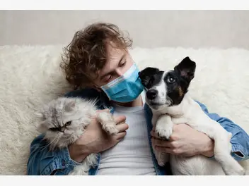 Ilustracja artykułu koronawirus u psa i kota – objawy, badania, leczenie, powikłania