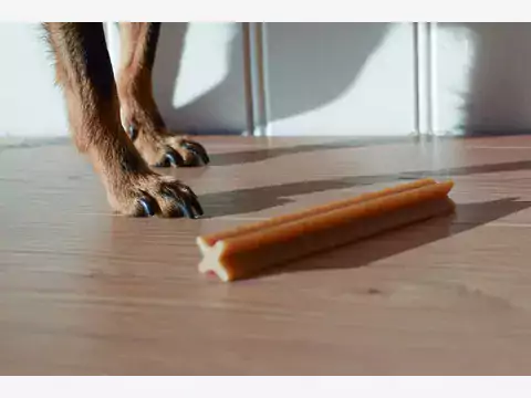 Dentastix – rodzaje, ceny, skuteczność