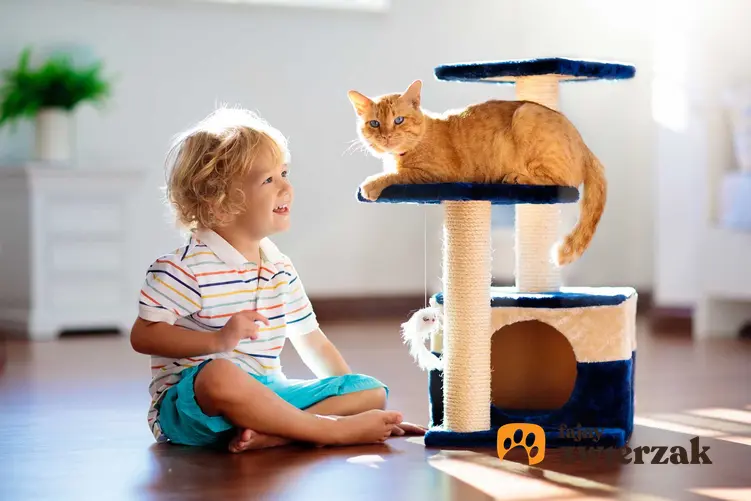 Kot bawiący się z dzieckiem i siedzący na zamku dla kotów, a także inne zabawy dla dużych kotów krok po kroku
