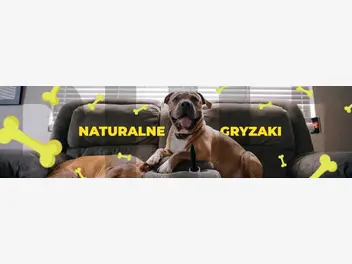 Ilustracja artykułu naturalne gryzaki dla psów od bult - wzmocnienie diety twojego pupila