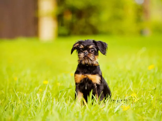 Ceny Ps w 112 Artyku w