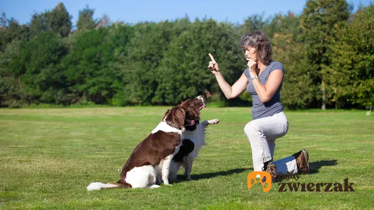 Kobieta wydająca polecenia psu za pomocą gwizdka dla psów, a także opinie, cena i opis działania gwizdków dla psów