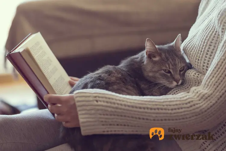 Kot tulący się do właścicieli czytającej książkę, a także czy lepiej wybrać kota, czy psa - który czworonóg do ciebie pasuje