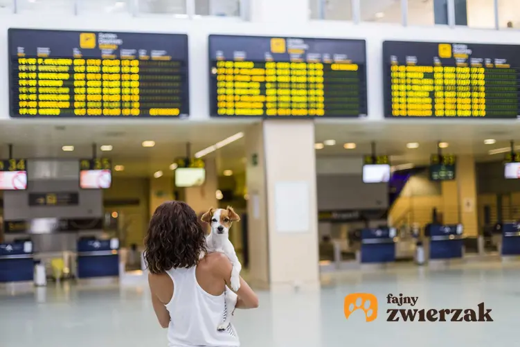 Kobieta niosąca psa na lotnisku, a także informacje o podróżach psa: paszport dla psów krok po kroku