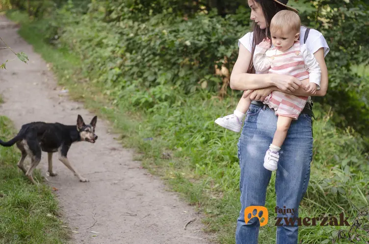 Kobieta z dzieckiem obawiająca się psa, a także kynofobia i jej przyczyny, czyli strach przed psami, wskazówki i informacje