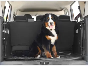 Ilustracja artykułu mata dla psa do samochodu krok po kroku. oto najlepsze modele
