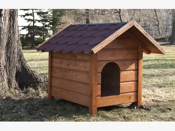 Ilustracja artykułu jak zbudować drewnianą budę dla małego psa?
