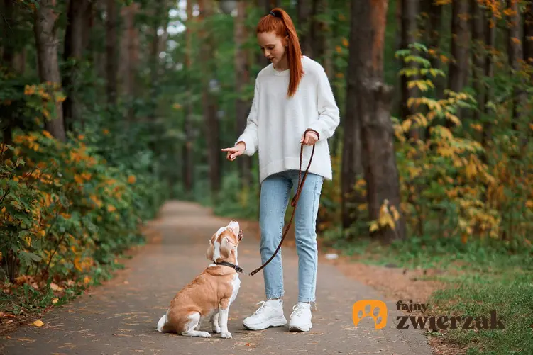 Właścicielka wydająca polecenia psu, a także jak dogadać się z psem, czyli trening i tresura psa oraz posłuch u psa