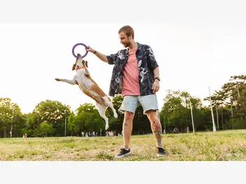 Ilustracja artykułu zlokalizuj swoje zwierzę na każdym spacerze — czyli dlaczego twój pies powinien mieć lokalizator z gps