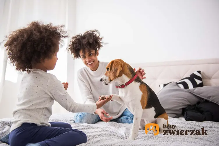 Mama z córką i psem siedzą na łóżku, głaszczą psa i opiekują się nim, probiotyki dla psa dostępne w Polsce, opinie weterynarzy na temat probiotyków dla psów