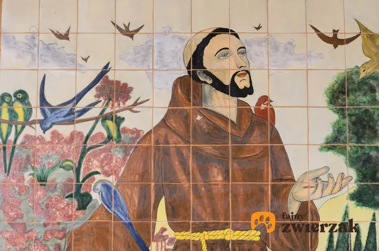 Święty Franciszek z Asyżu, Święty Franciszek w otoczeniu ptaków, Święty Franciszek a zainteresowanie przyrodą i zwierzętami