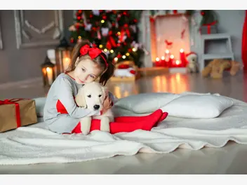 Ilustracja artykułu świąteczny szczeniak – co wziąć pod uwagę przed zakupem psa?