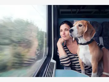 Ilustracja artykułu jak przewieźć psa pociągiem? oto 5 zasad przewożenia czworonoga