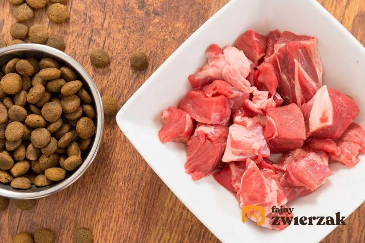 Mięso i karma dla psa, a także podpowiedzi, jak gotować mięso dla psów, czyli psia dieta krok po kroku