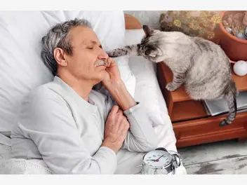 Ilustracja artykułu dlaczego kot atakuje śpiącego właściciela? oto najczęstsze przyczyny