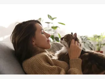 Ilustracja artykułu jak okazać kotu miłość? top 5 najlepszych sposobów