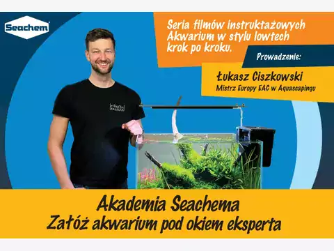 Akwarium low-tech: jak zacząć