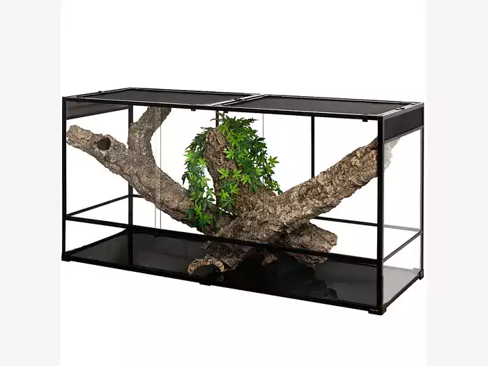 Terrarium dla węża zbożowego: poradnik