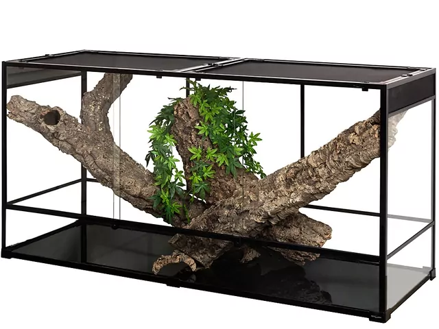 Terrarium dla węża zbożowego: poradnik