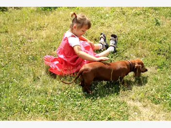 Ilustracja artykułu dzieci i psy – obalamy mity związane z pogryzieniami