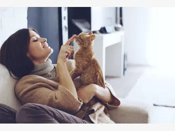 Ilustracja artykułu jak kot nawiązuje więzi z ludźmi?