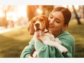 Ilustracja artykułu wszystko, co musisz wiedzieć o nicieniach płucnych u psa