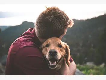 Ilustracja artykułu czy pies cię kocha? 7 dowodów psiej miłości