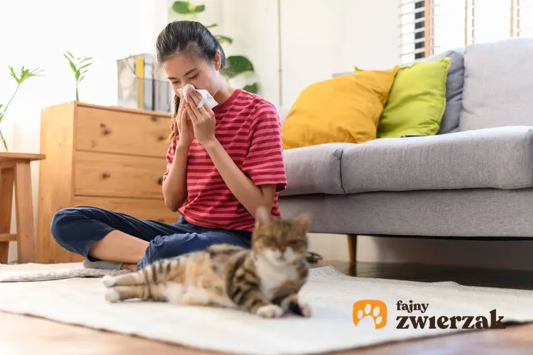 Kobieta z alergią na koty, a także TOP 7 najlepszych kotów dla alergika i antyalergiczne rasy kotów