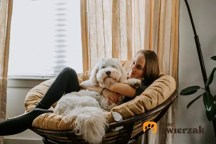 Kobieta z psem na fotelu