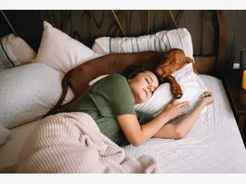 Ilustracja artykułu spanie z psem w łóżku — tak czy nie?