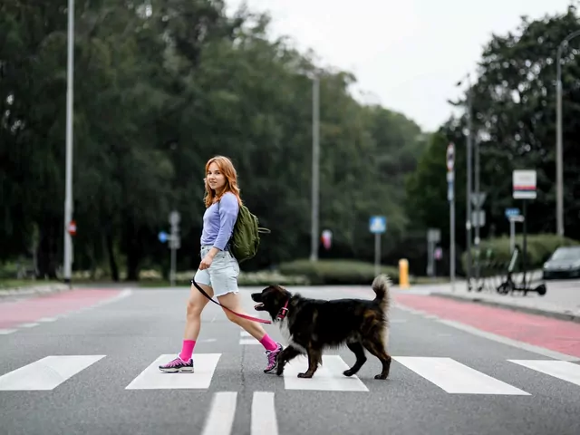 Nauka komendy zwalniającej dla psa