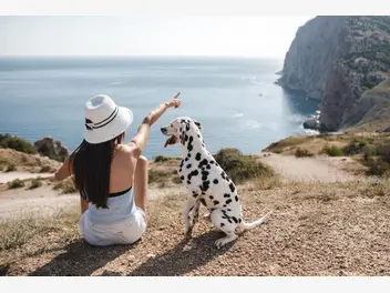 Ilustracja artykułu gdzie na wakacje z psem za granicą?