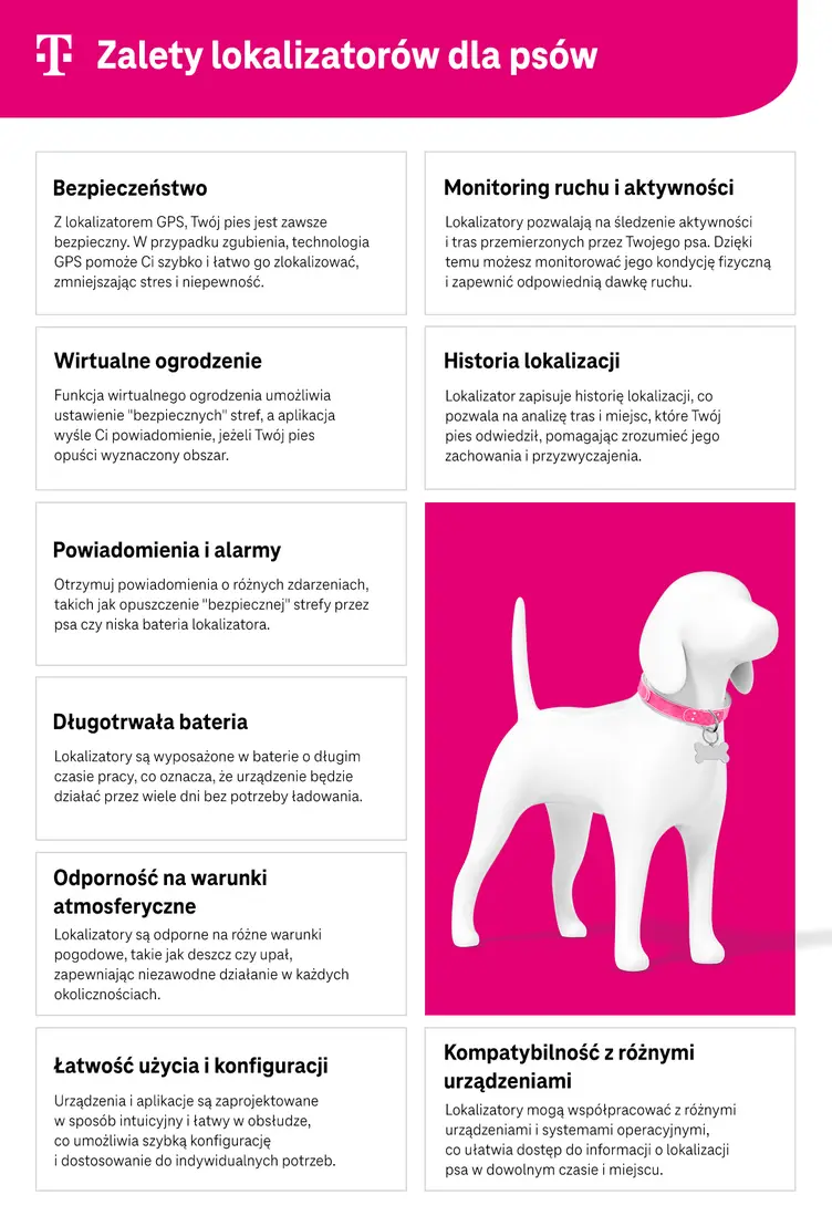 Zalety lokalizatorów dla psów - infografika