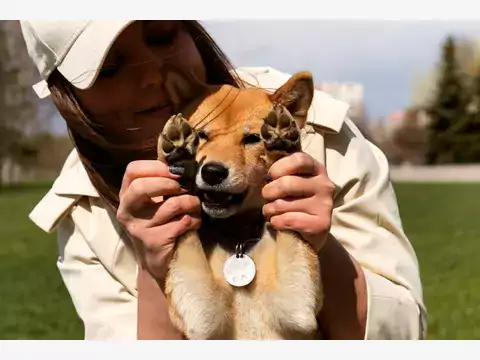 Opieka nad pupilem na spacerze