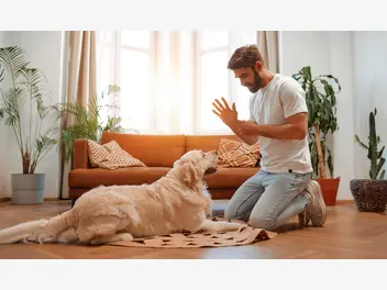 Ilustracja artykułu jak nauczyć psa "na miejsce"?