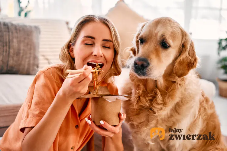 Pies wymusza jedzenie podczas spożywania posiłków oraz porady, jak sobie z tym radzić