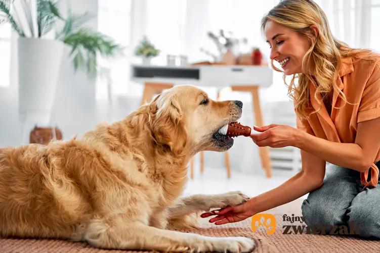 Kobieta podczas karmienia psa, a także  aktywne karmienie krok po kroku