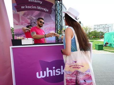Kiedy kot mówi: „kocham Cię”. Co zdradzają jego gesty, mruczenie i osobowość?