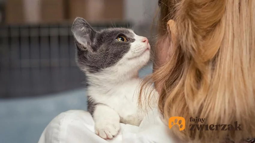 Weekend Adopcji Mars i TOZ – adopcja zwierzaka może zmienić dwa życia Weekend Adopcji Mars i TOZ – adopcja zwierzaka może zmienić dwa życia