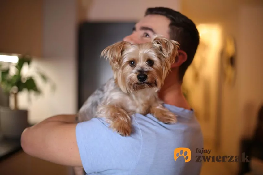 Weekend Adopcji Mars i TOZ – adopcja zwierzaka może zmienić dwa życia Weekend Adopcji Mars i TOZ – adopcja zwierzaka może zmienić dwa życia