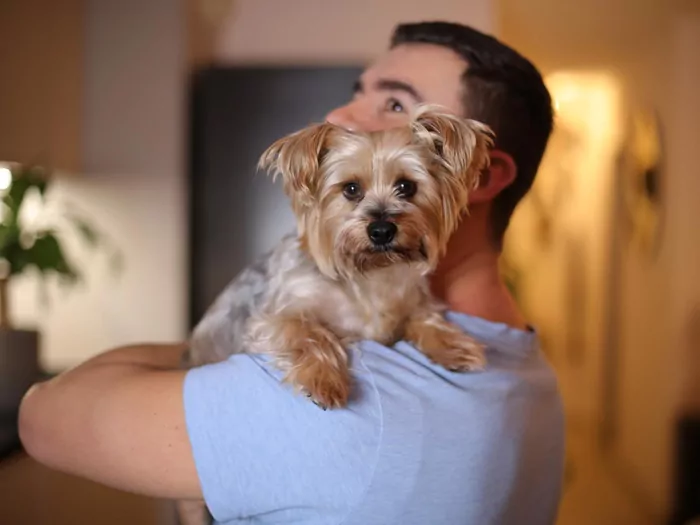 Weekend Adopcji Mars i TOZ – adopcja zwierzaka może zmienić dwa życia