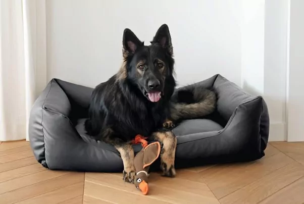 Owczarek w legowisku od e-legowisko Owczarek w legowisku od e-legowisko