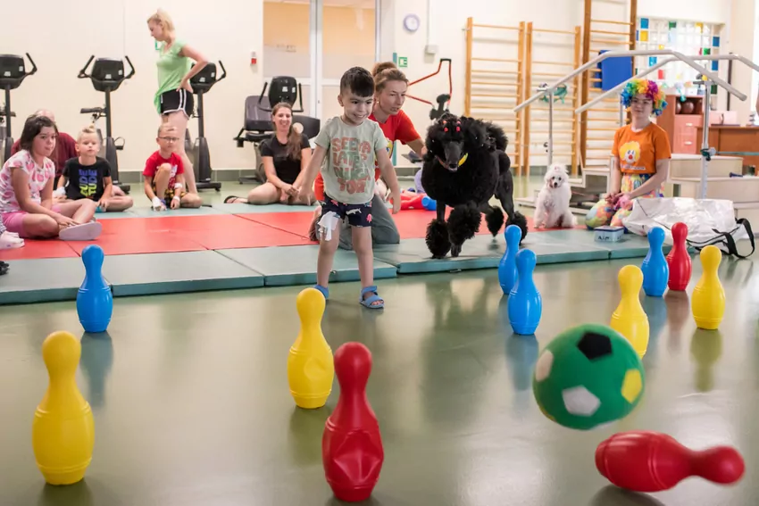 Dogoterapia z Mars Polska