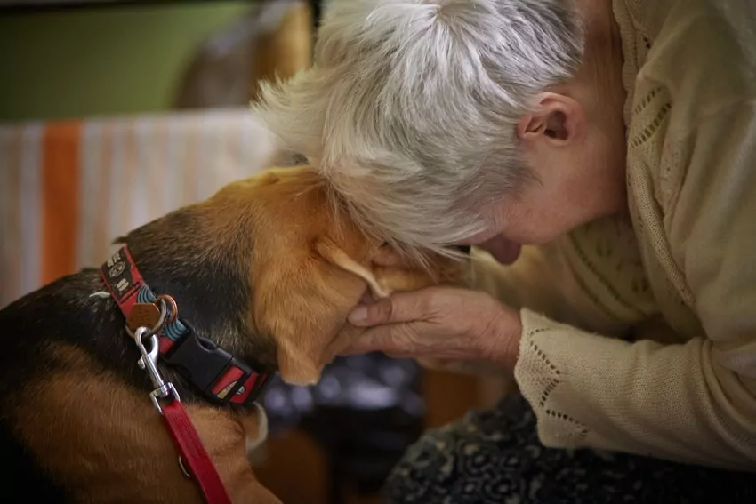 Dogoterapia z Mars Polska