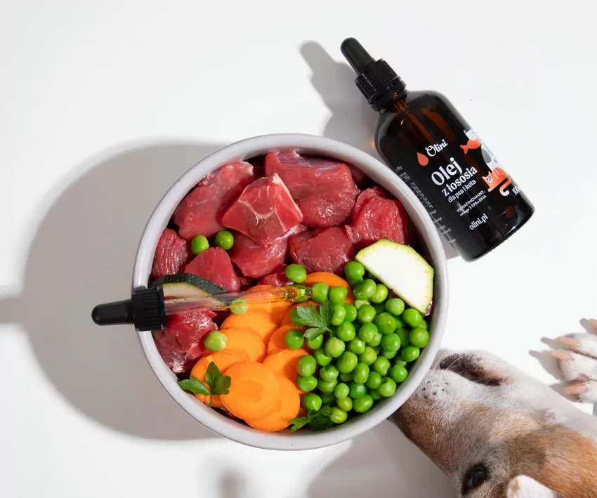 Olej z łososia dla psa Olini